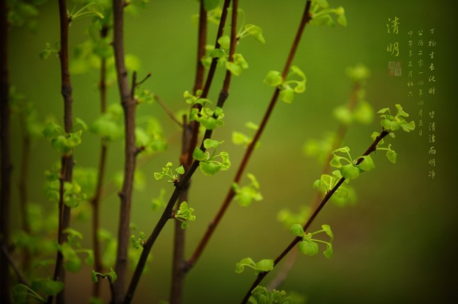 2015�������żٰ���